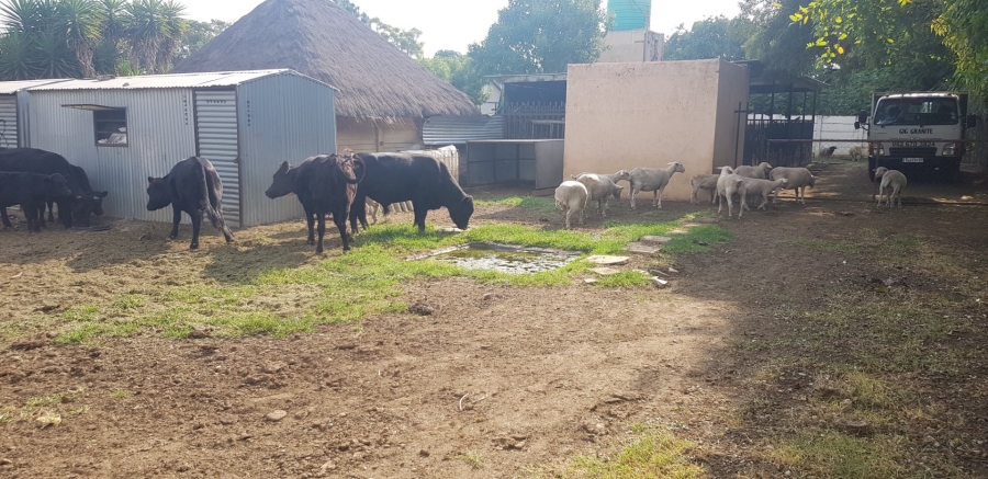 Commercial Property for Sale in Swacina Park A H Gauteng