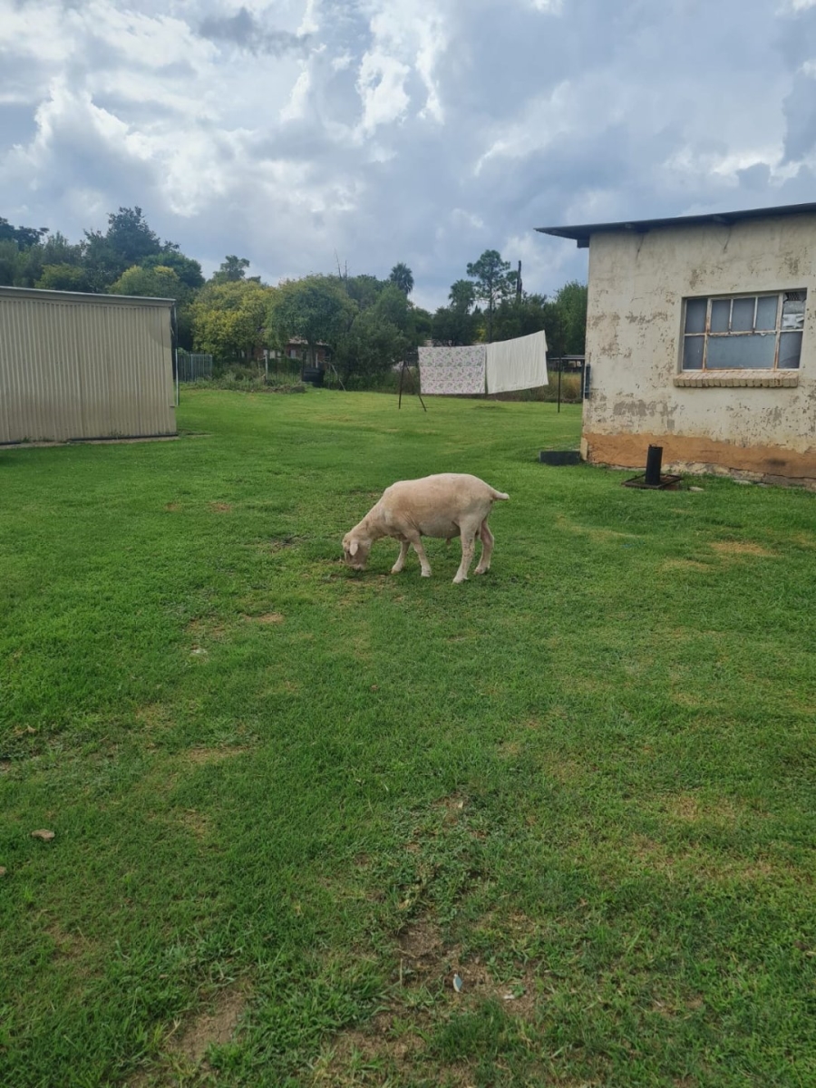 Commercial Property for Sale in Swacina Park A H Gauteng