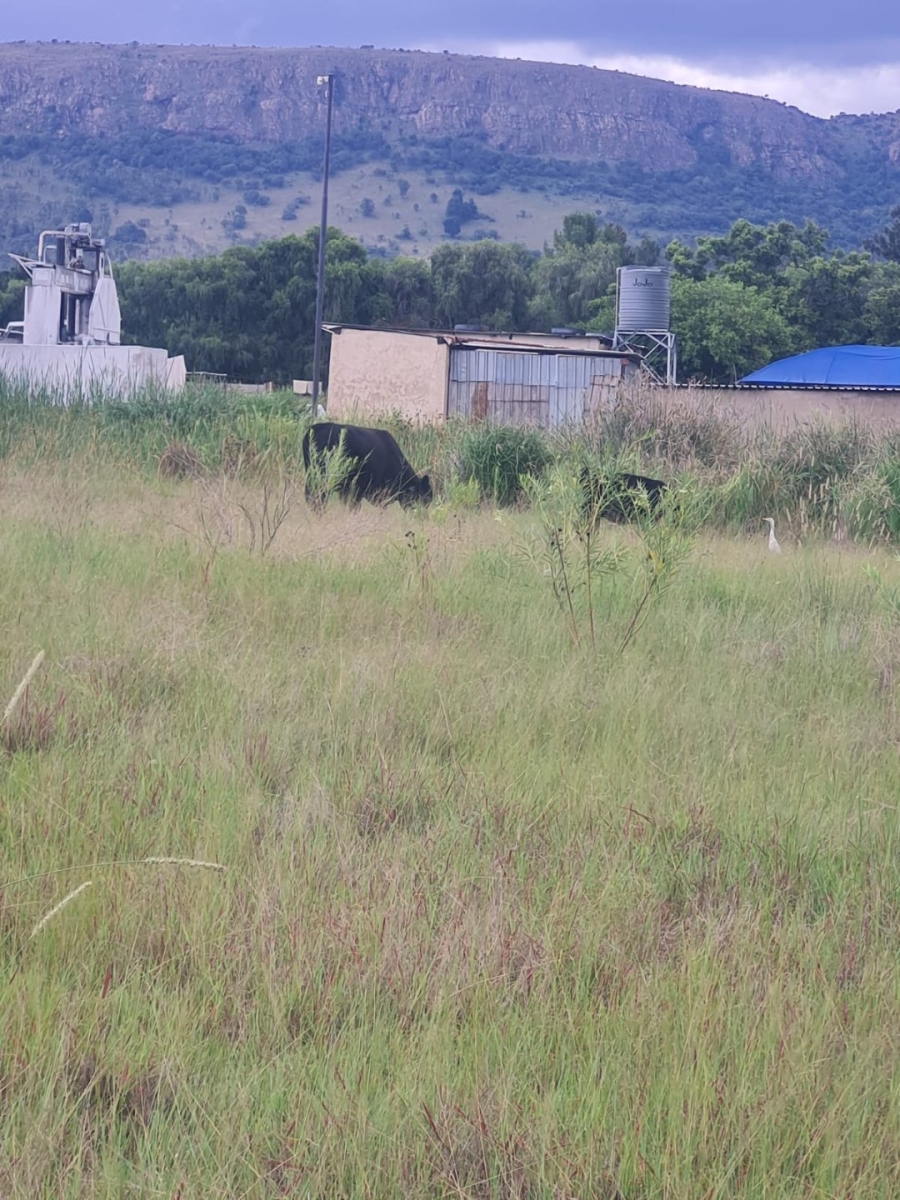 Commercial Property for Sale in Swacina Park A H Gauteng