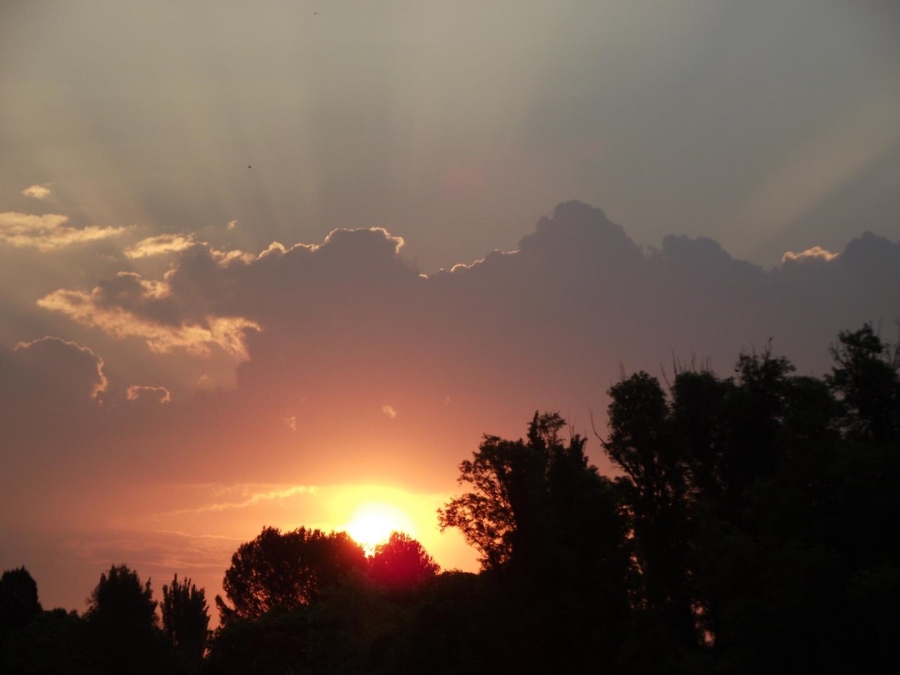 0 Bedroom Property for Sale in Mckay A H Gauteng