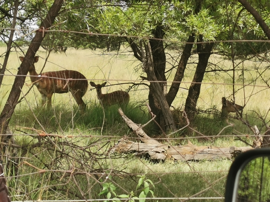 7 Bedroom Property for Sale in Patryshoek A H Gauteng