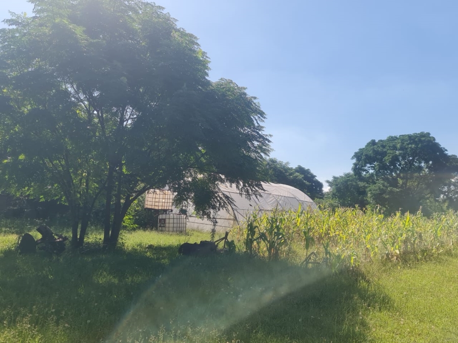 7 Bedroom Property for Sale in Kaalplaats Gauteng