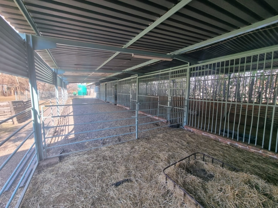 6 Bedroom Property for Sale in Kaalplaats Gauteng