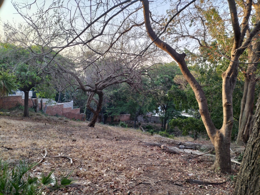 0 Bedroom Property for Sale in Florauna Gauteng