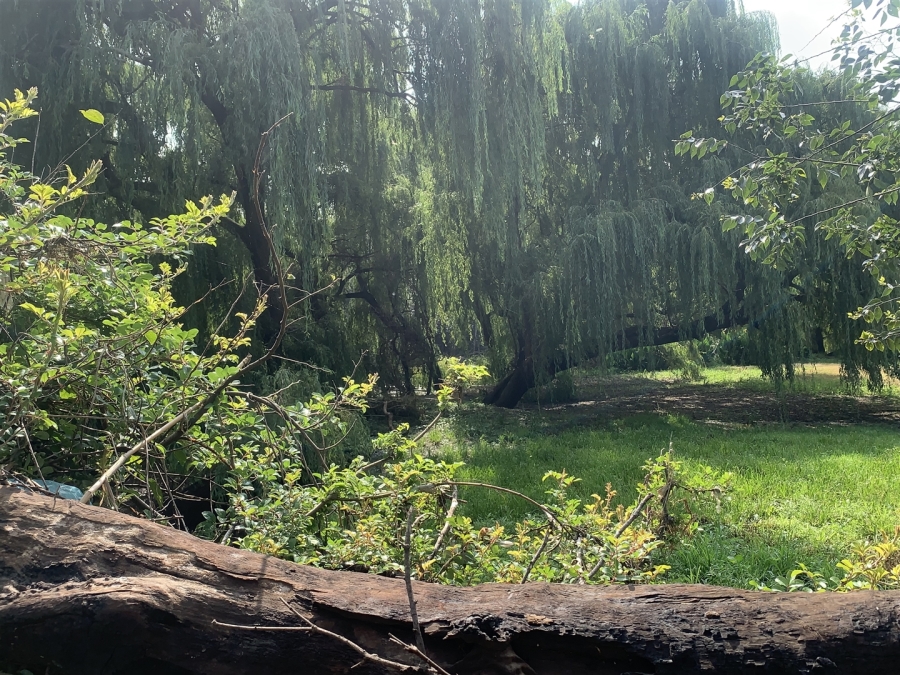 0 Bedroom Property for Sale in Witkop Gauteng