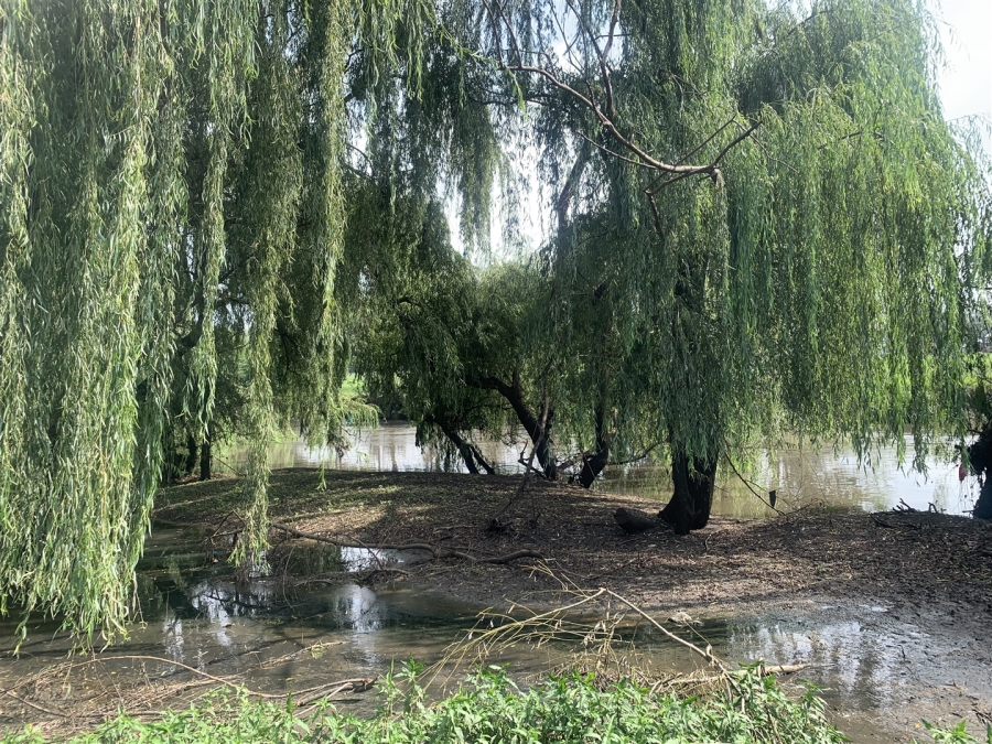 0 Bedroom Property for Sale in Witkop Gauteng