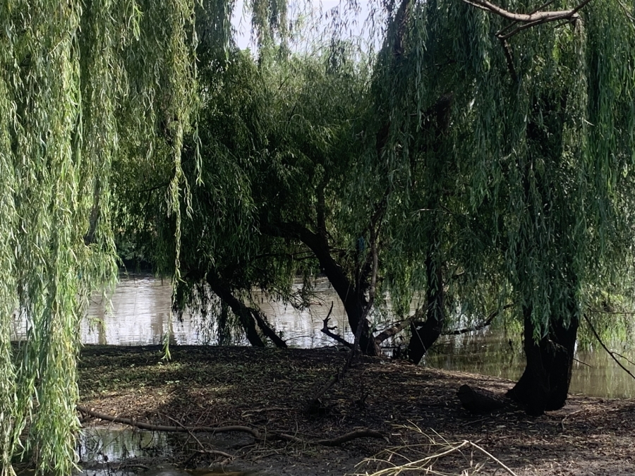 0 Bedroom Property for Sale in Witkop Gauteng