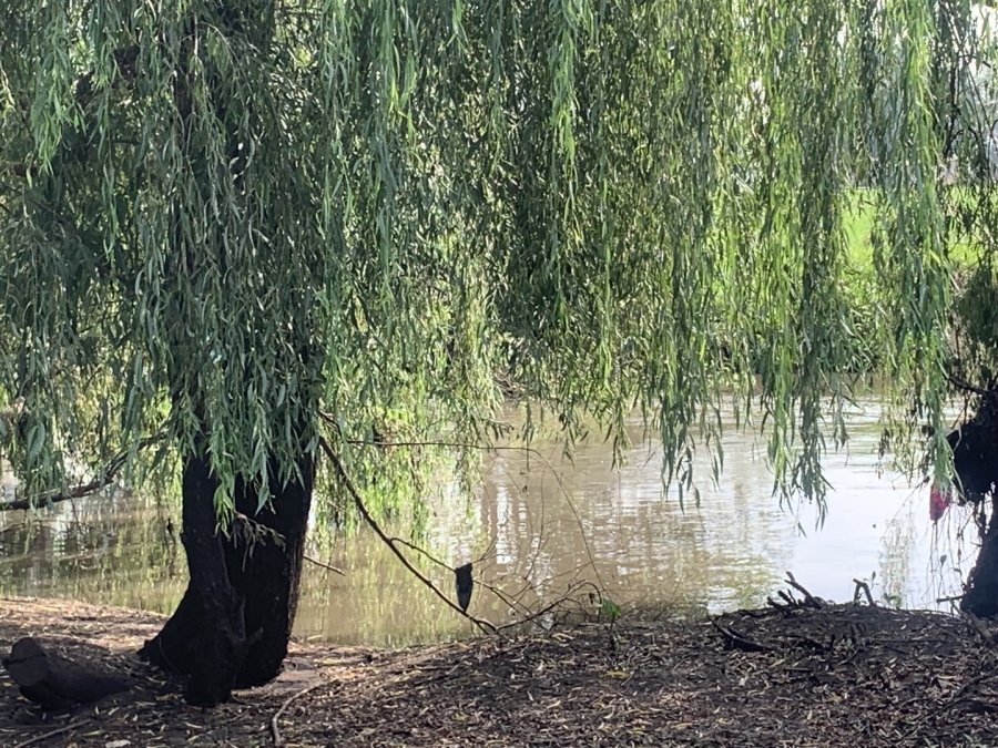 0 Bedroom Property for Sale in Witkop Gauteng