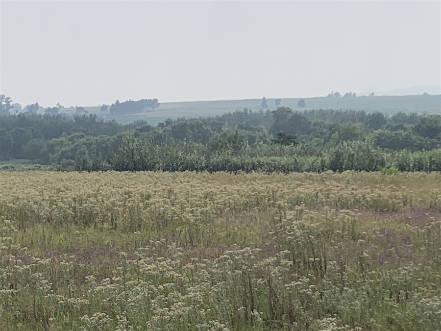 0 Bedroom Property for Sale in Witkop Gauteng