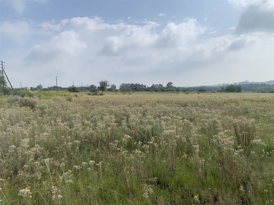 0 Bedroom Property for Sale in Witkop Gauteng