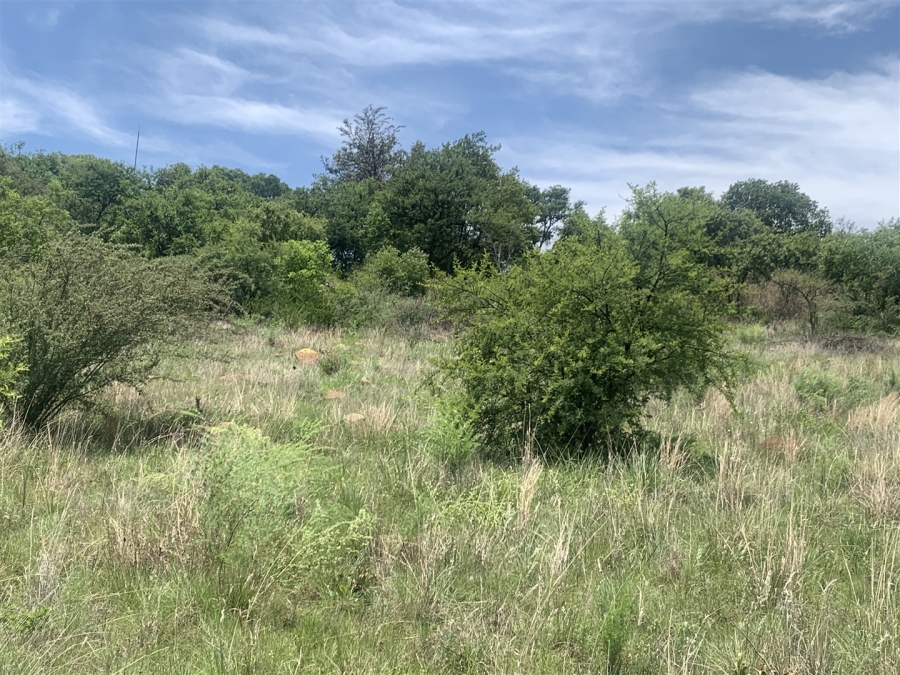 0 Bedroom Property for Sale in Witkop Gauteng