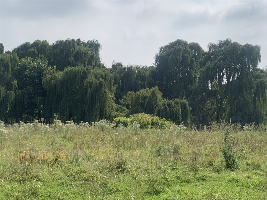 0 Bedroom Property for Sale in Witkop Gauteng