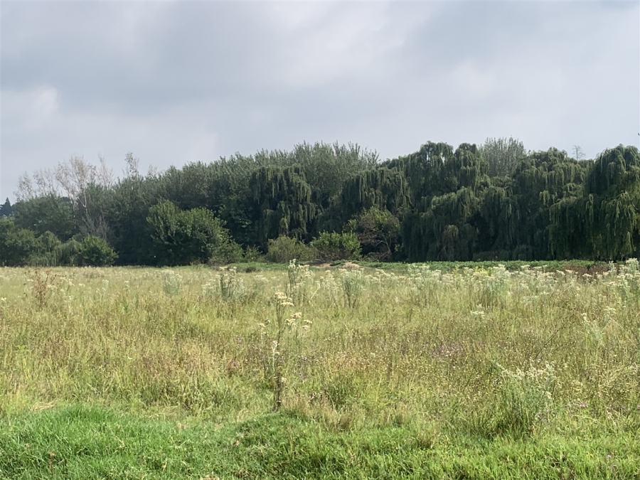 0 Bedroom Property for Sale in Witkop Gauteng