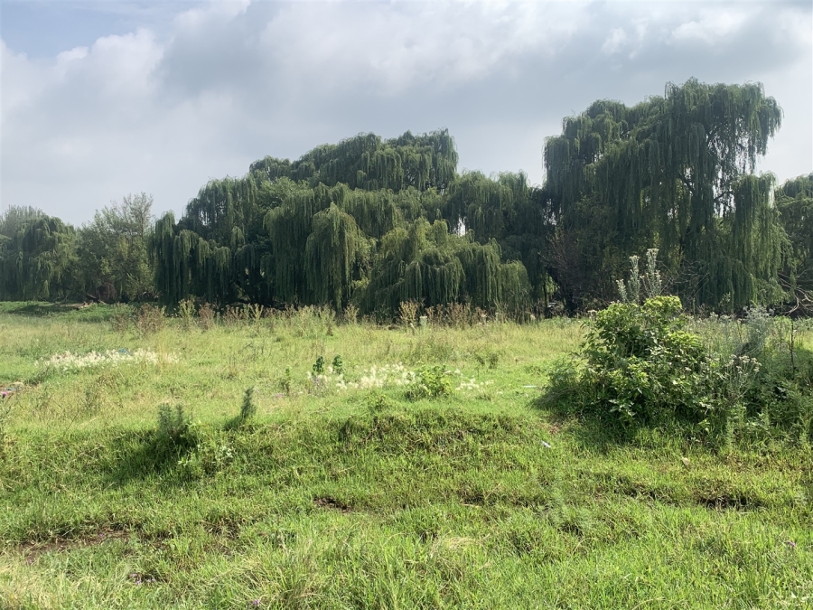 0 Bedroom Property for Sale in Witkop Gauteng