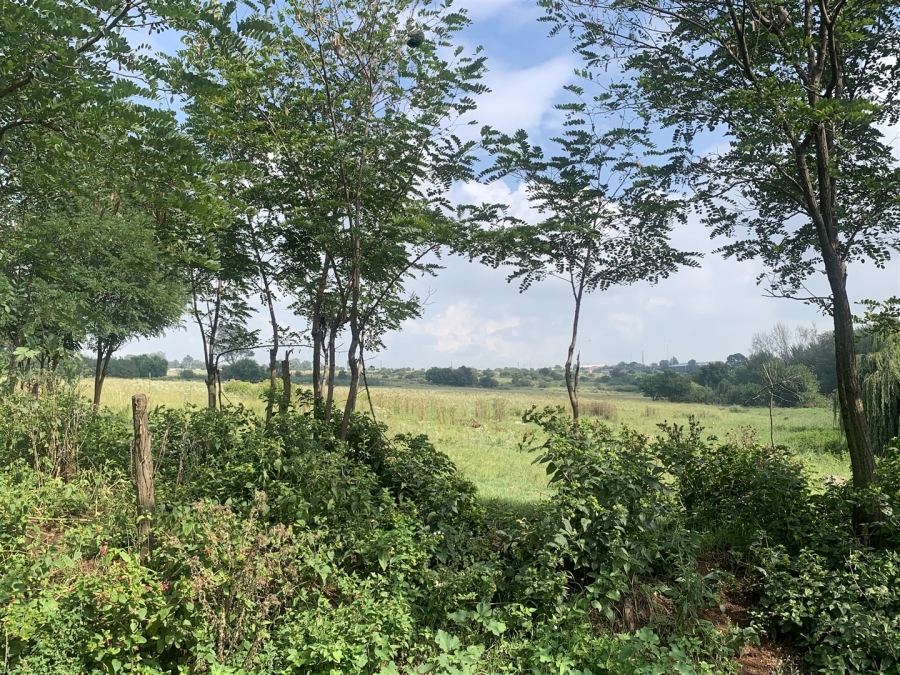 0 Bedroom Property for Sale in Witkop Gauteng