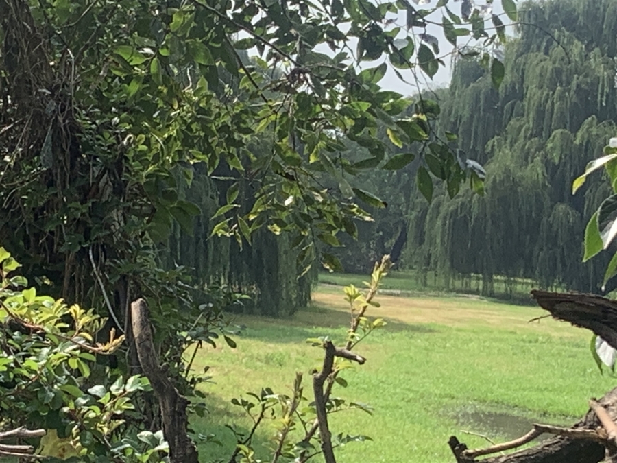 0 Bedroom Property for Sale in Witkop Gauteng