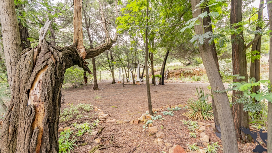 10 Bedroom Property for Sale in Eikenhof Gauteng