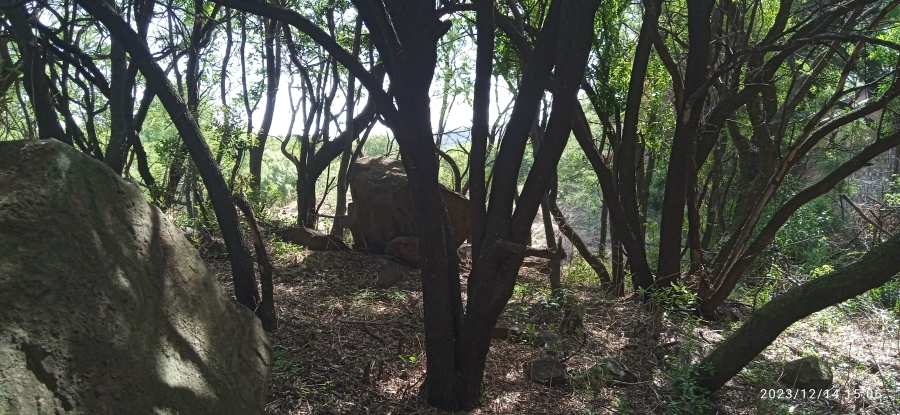 0 Bedroom Property for Sale in Meyersdal Eco Estate Gauteng