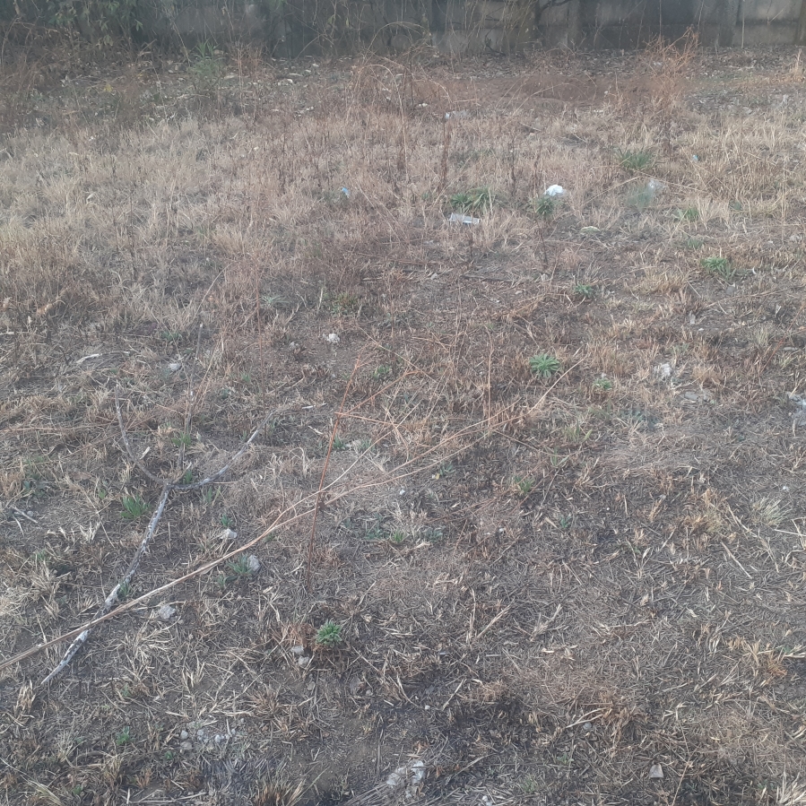 0 Bedroom Property for Sale in Dunnottar Gauteng