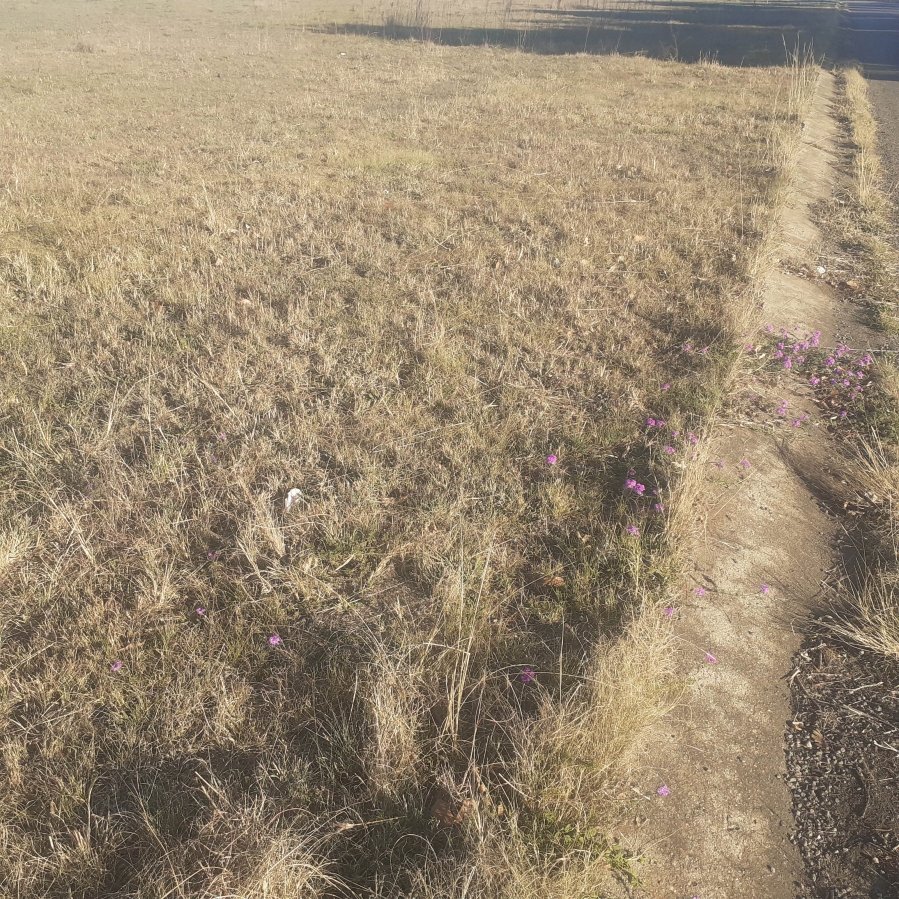 0 Bedroom Property for Sale in Dunnottar Gauteng