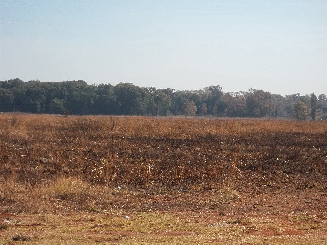 0 Bedroom Property for Sale in Henley on Klip Gauteng