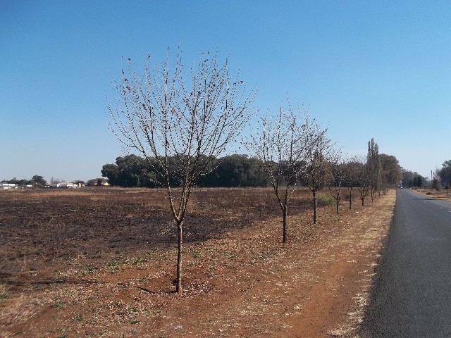 0 Bedroom Property for Sale in Henley on Klip Gauteng