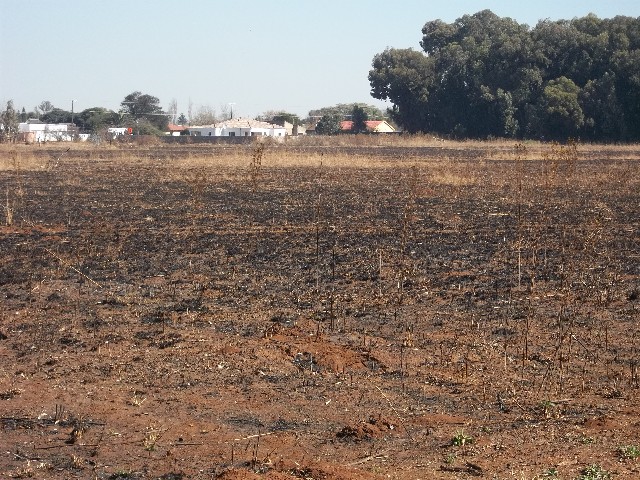 0 Bedroom Property for Sale in Henley on Klip Gauteng