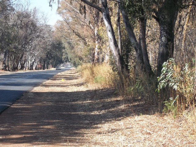 0 Bedroom Property for Sale in Henley on Klip Gauteng