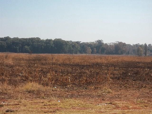 0 Bedroom Property for Sale in Henley on Klip Gauteng