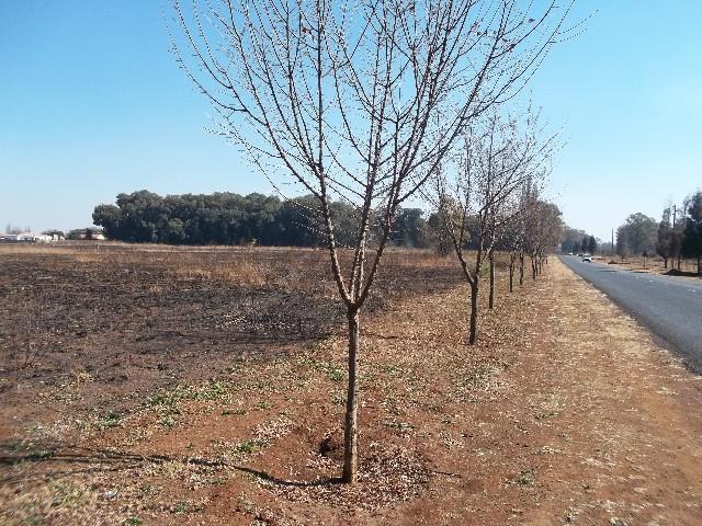 0 Bedroom Property for Sale in Henley on Klip Gauteng