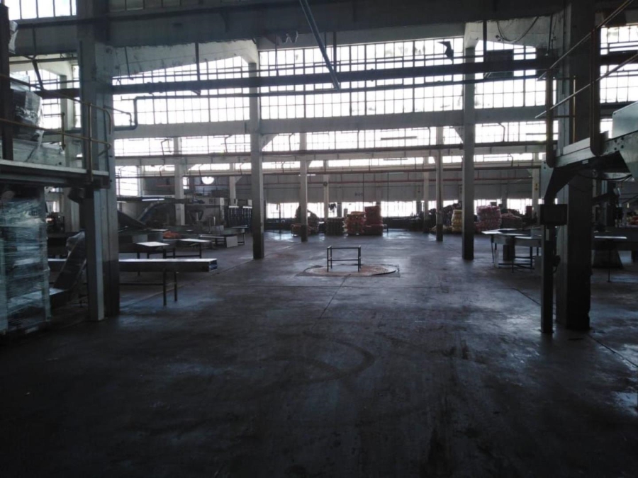 To Let Commercial Property for Rent in Industria Gauteng
