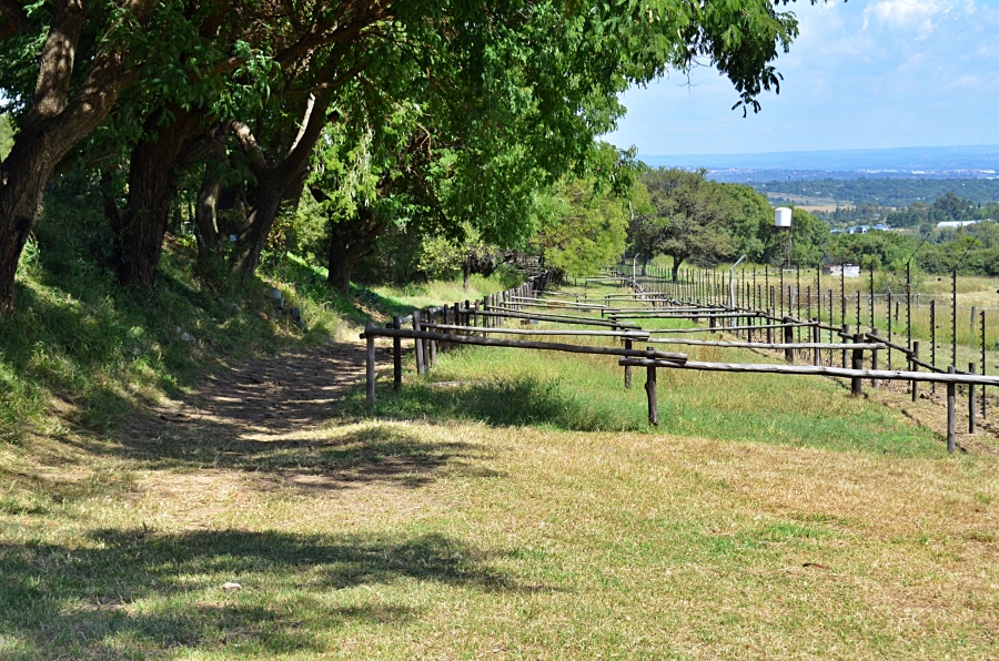 9 Bedroom Property for Sale in Sun Valley Gauteng