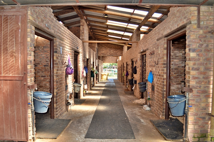 9 Bedroom Property for Sale in Sun Valley Gauteng