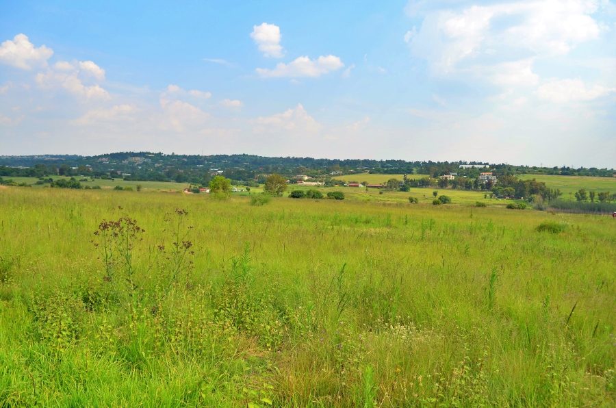 0 Bedroom Property for Sale in Sun Valley Gauteng