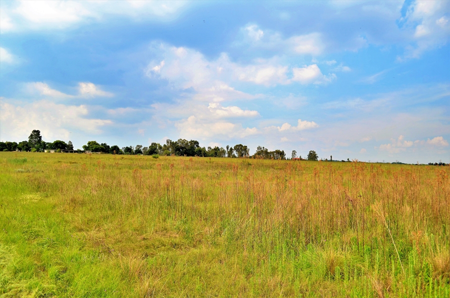 0 Bedroom Property for Sale in Sun Valley Gauteng