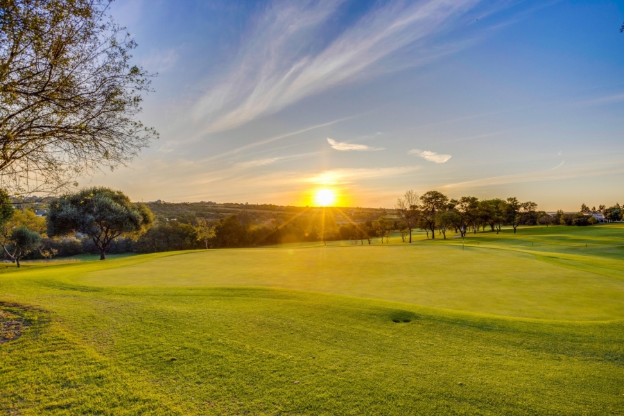 6 Bedroom Property for Sale in Dainfern Golf Estate Gauteng