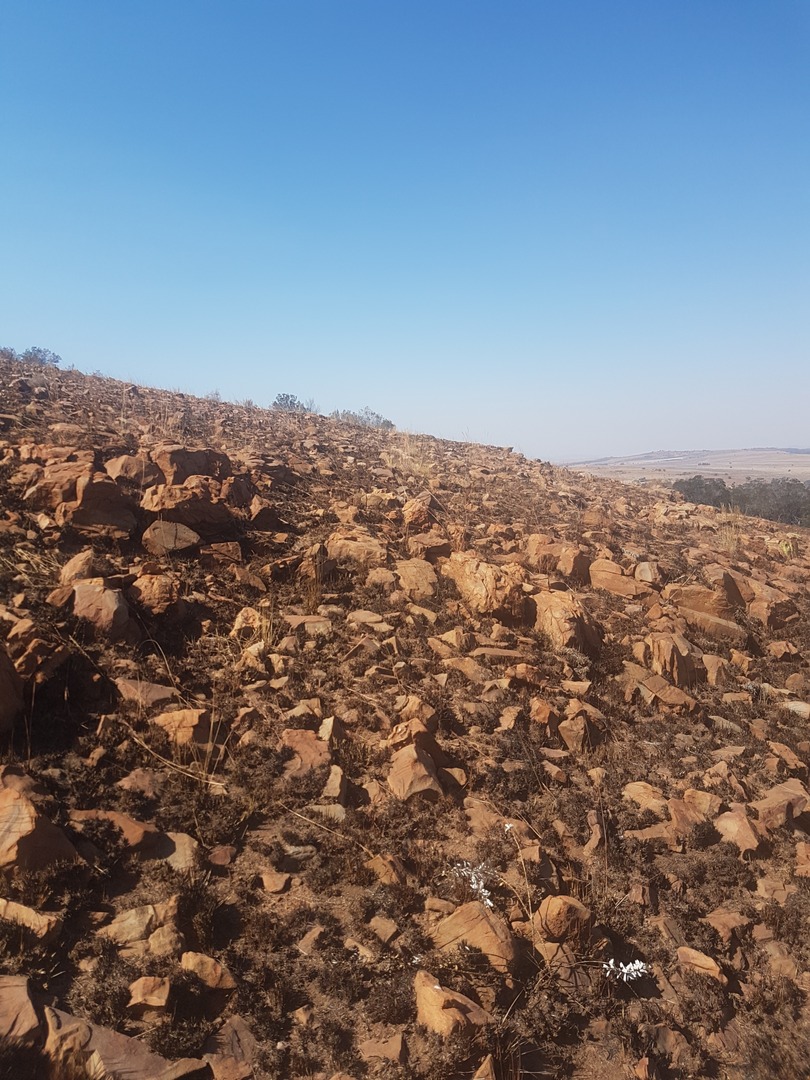0 Bedroom Property for Sale in Faroasfontein Gauteng