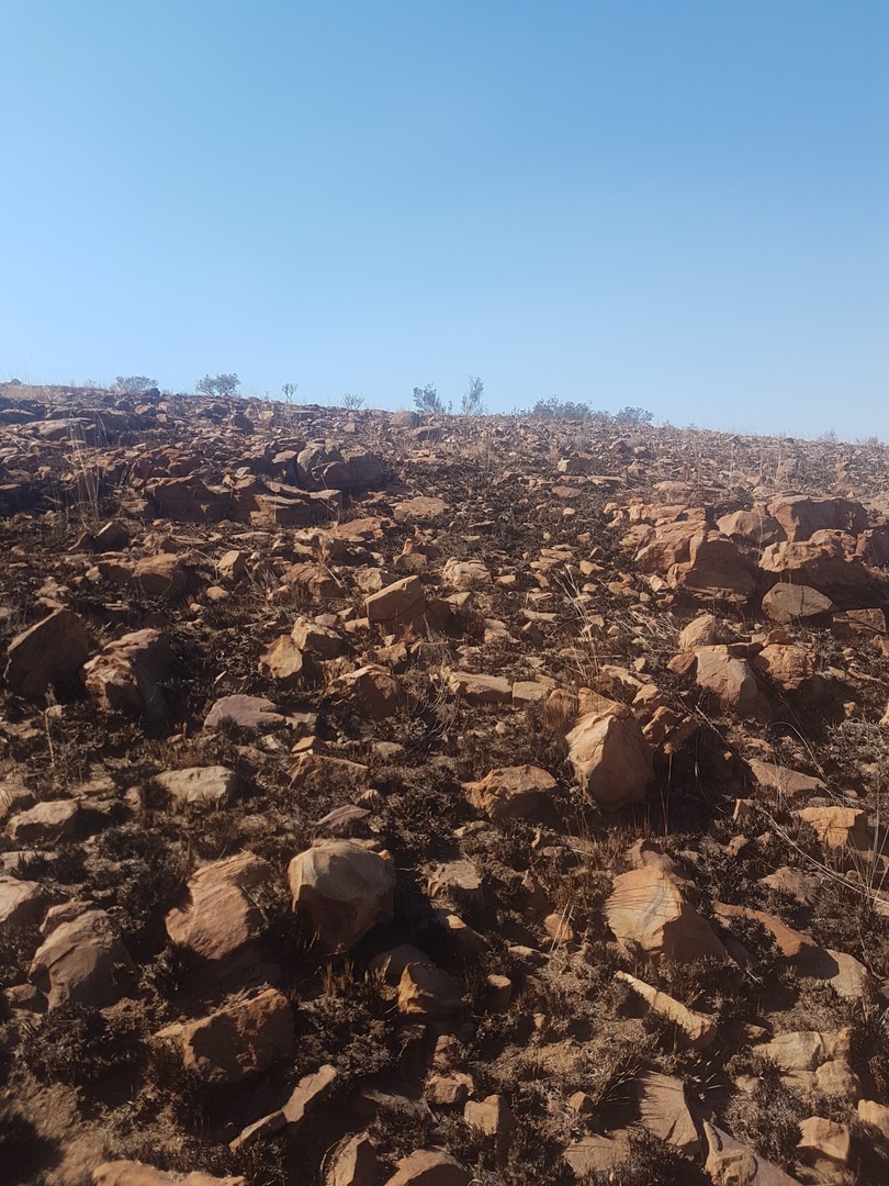 0 Bedroom Property for Sale in Faroasfontein Gauteng