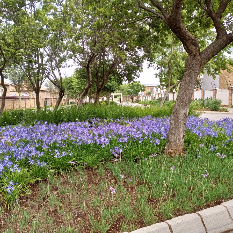 To Let 3 Bedroom Property for Rent in Oukraal Estate Gauteng