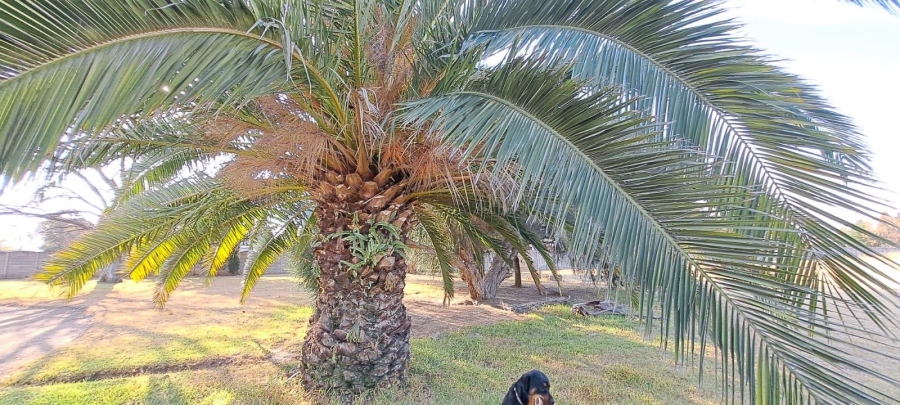 4 Bedroom Property for Sale in Benoni AH Gauteng