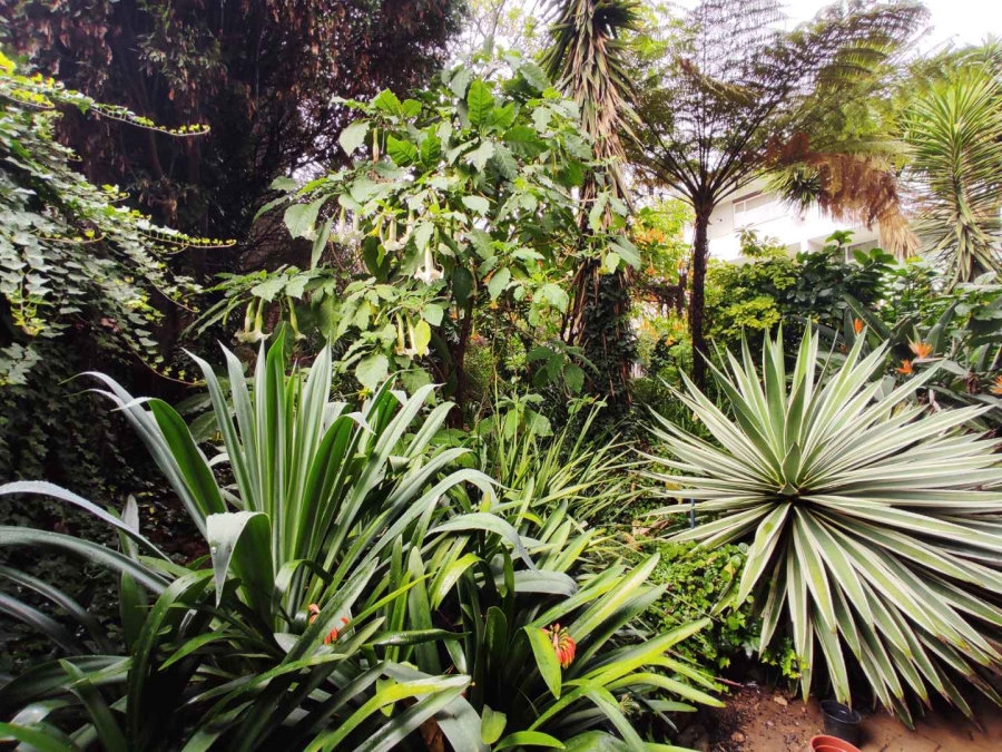 2 Bedroom Property for Sale in Blairgowrie Gauteng