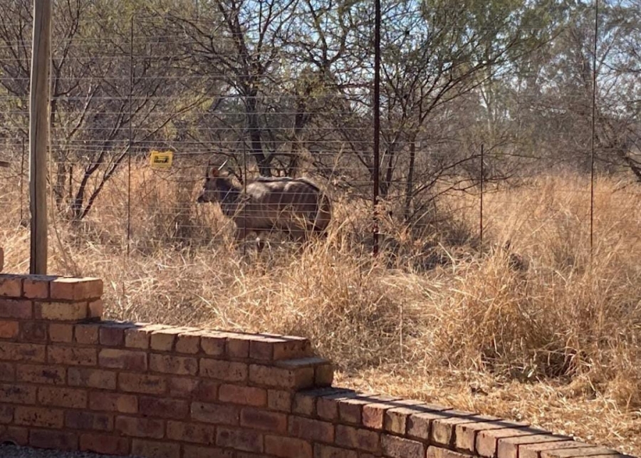 15 Bedroom Property for Sale in Dinokeng Gauteng