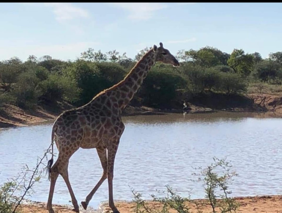 15 Bedroom Property for Sale in Dinokeng Gauteng