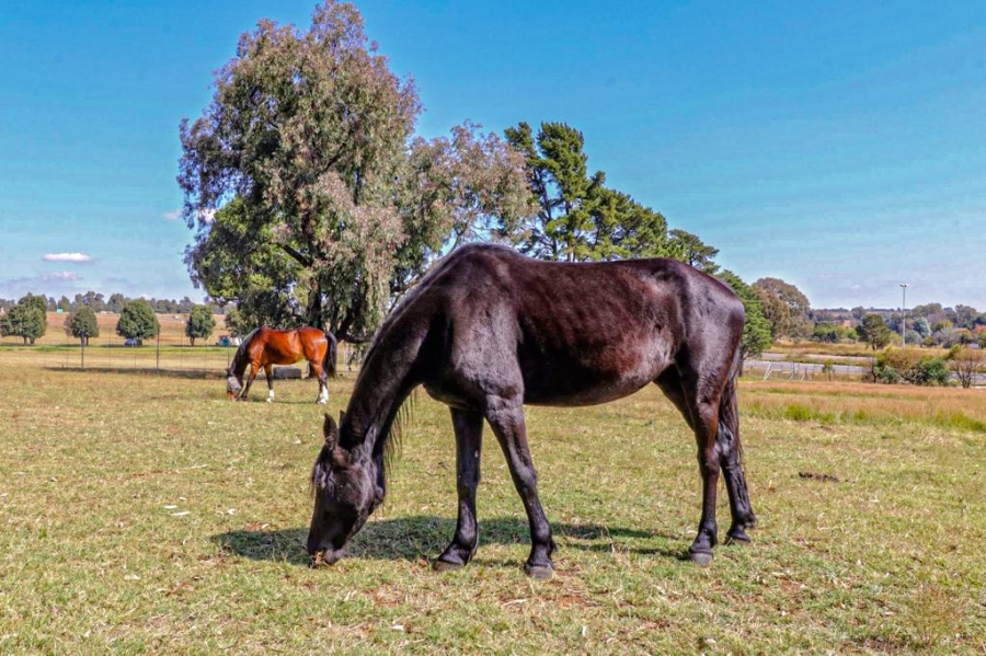 3 Bedroom Property for Sale in Walkerville Gauteng