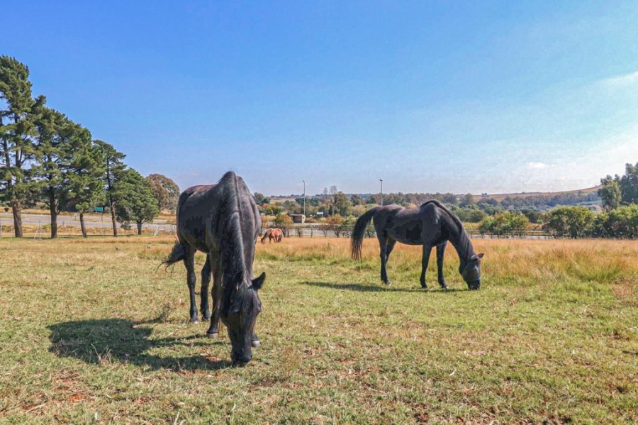 3 Bedroom Property for Sale in Walkerville Gauteng