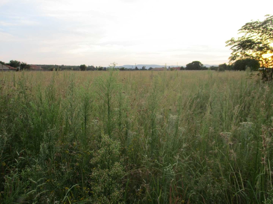 Commercial Property for Sale in Henley on Klip Gauteng