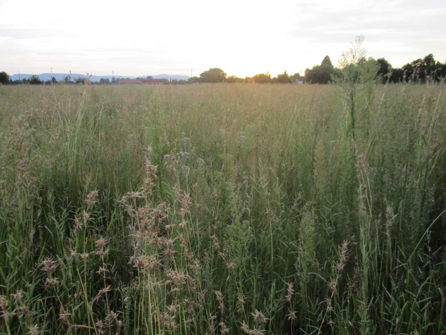 Commercial Property for Sale in Henley on Klip Gauteng