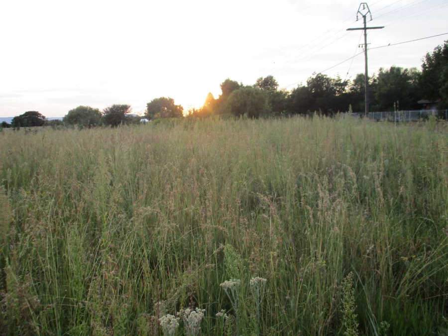 Commercial Property for Sale in Henley on Klip Gauteng