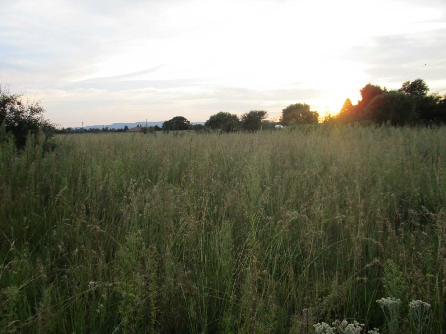 Commercial Property for Sale in Henley on Klip Gauteng