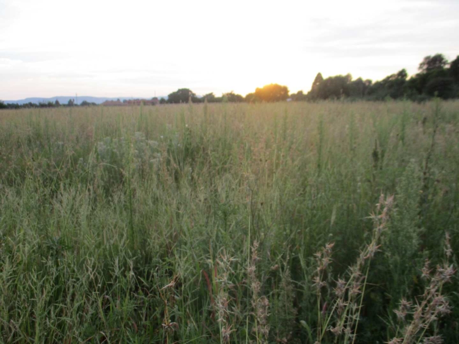 Commercial Property for Sale in Henley on Klip Gauteng